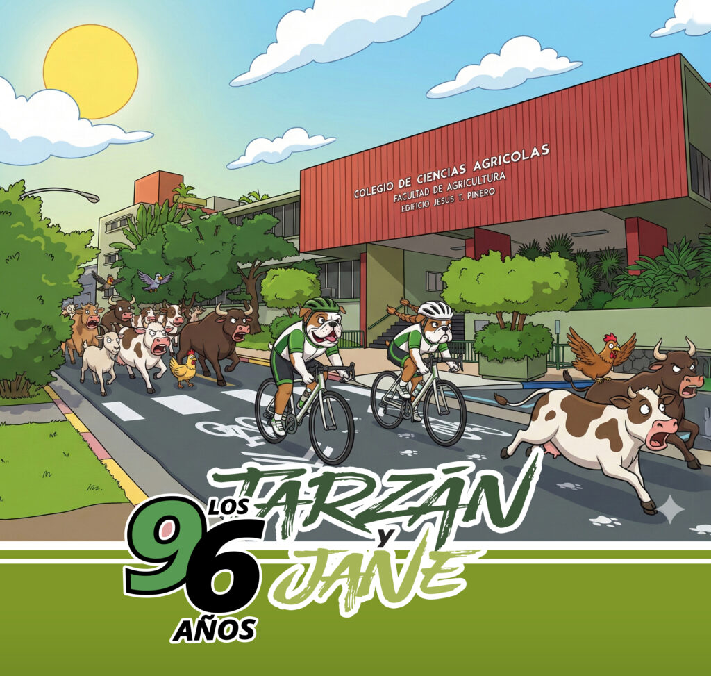 Móntate en bici 2026